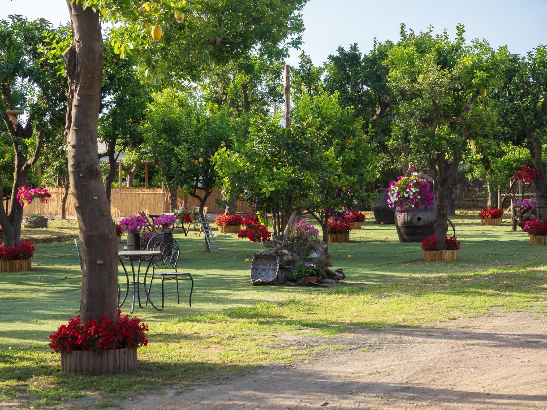 Villa Giardino Di Nonno Lucio - Surrounded By Lemon Tree Piano di Sorrento Exterior foto