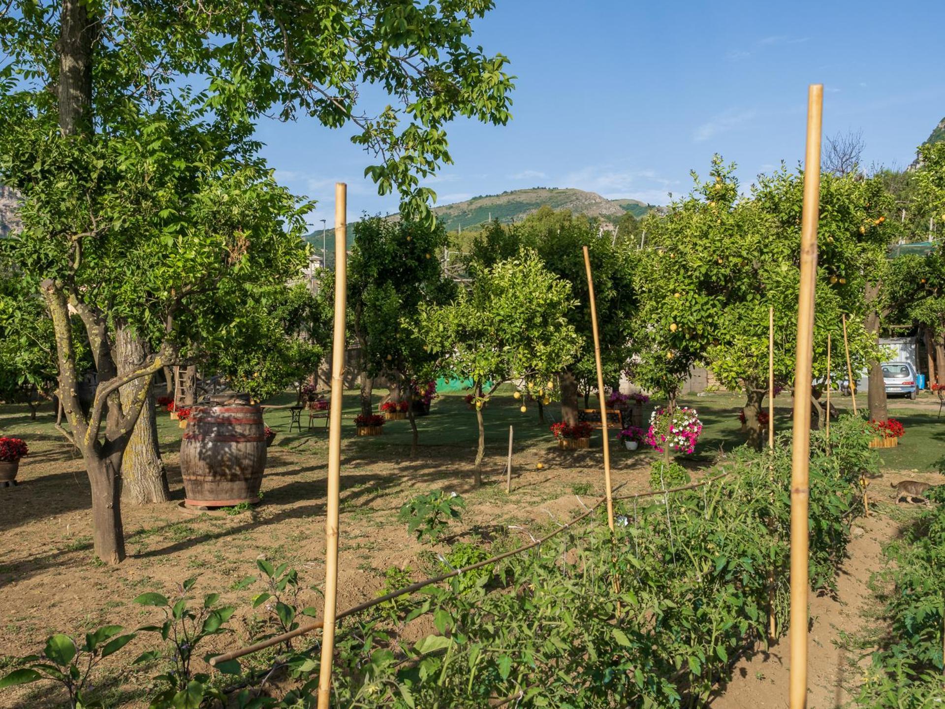 Villa Giardino Di Nonno Lucio - Surrounded By Lemon Tree Piano di Sorrento Exterior foto