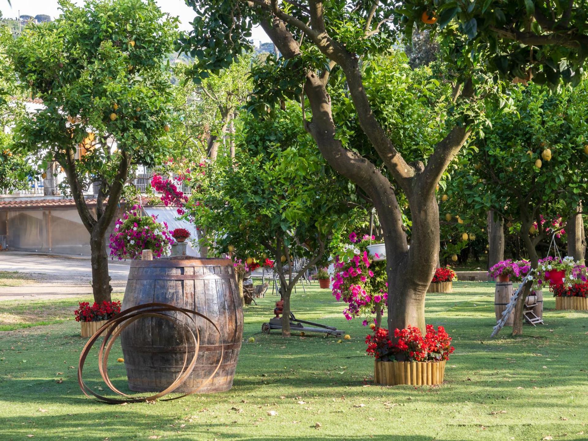 Villa Giardino Di Nonno Lucio - Surrounded By Lemon Tree Piano di Sorrento Exterior foto